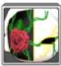 Maple Story 2::Items : Rose Masquerade Mask