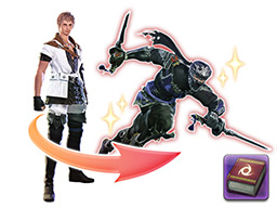 FFXIV::Items : Tales of Adventure: One Ninja's Journey I