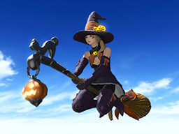 FFXIV::Items : Mount: Witch's Broom (Single Character)