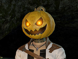 FFXIV::Items : Unripened Pumpkin Head