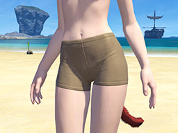 FFXIV::Items : Gold Lady's Knickers