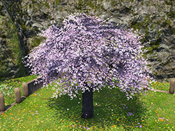 FFXIV::Items : Authentic Eastern Cherry Tree