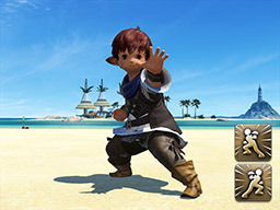 FFXIV::Items : Emote: Red Ranger Pose A and B