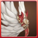 Aero Tales Online: The World::Items : Angel Wings*5